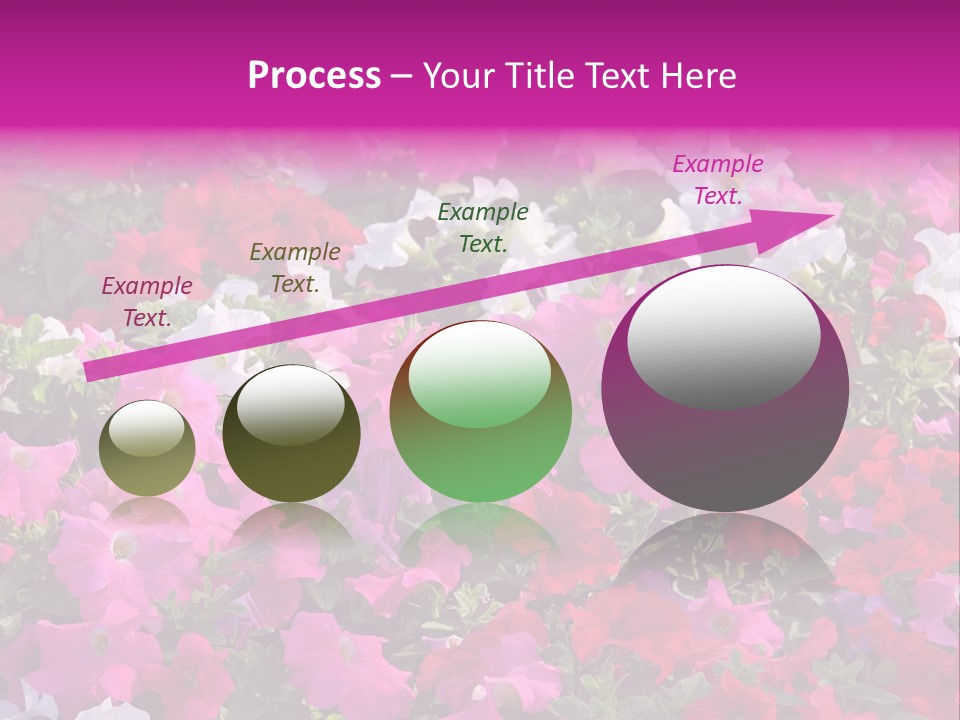 Purple Grow Spring PowerPoint Template