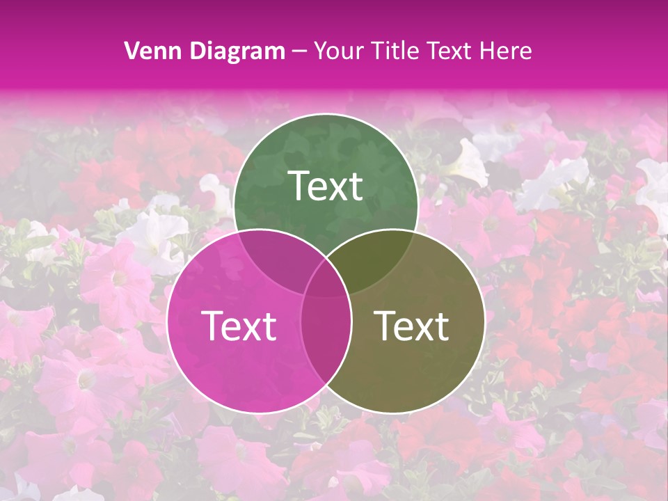 Purple Grow Spring PowerPoint Template