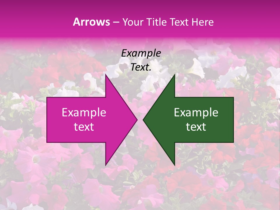 Purple Grow Spring PowerPoint Template