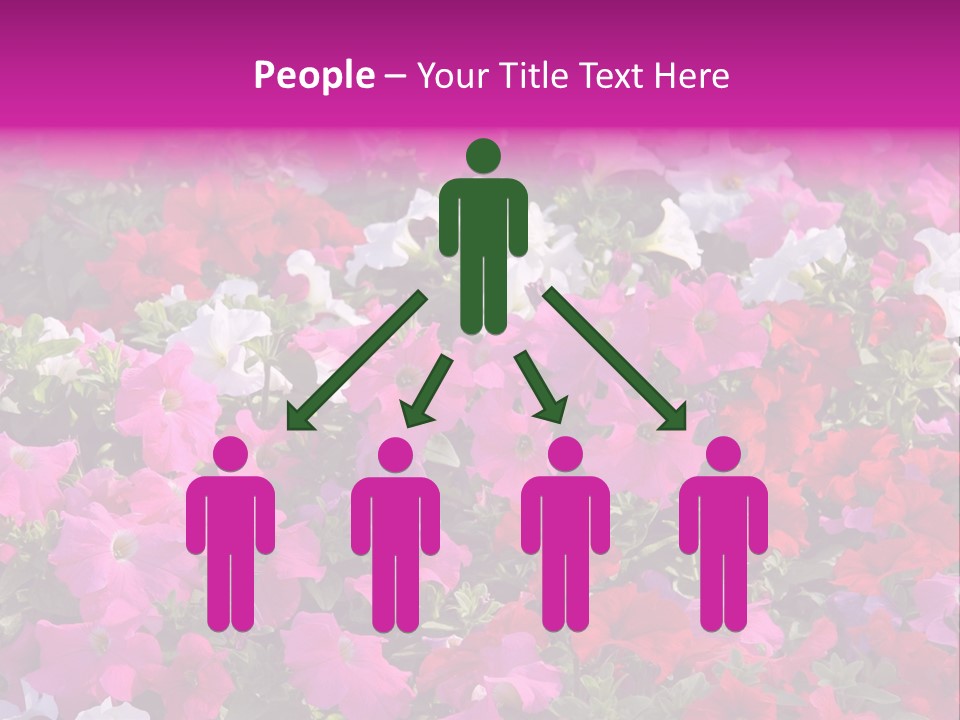 Purple Grow Spring PowerPoint Template