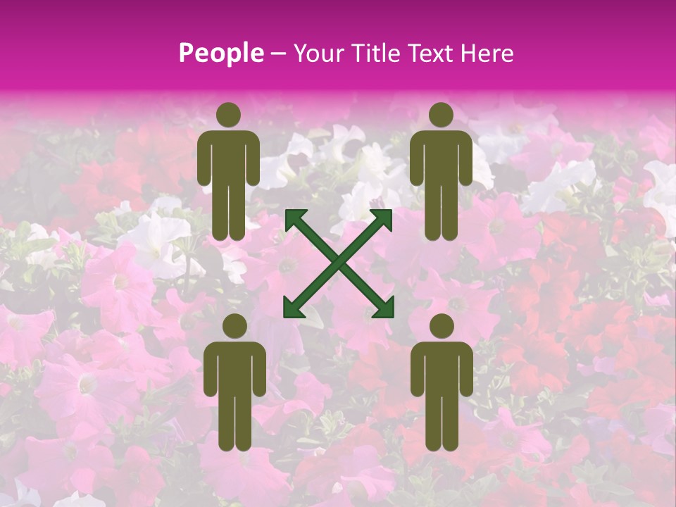 Purple Grow Spring PowerPoint Template