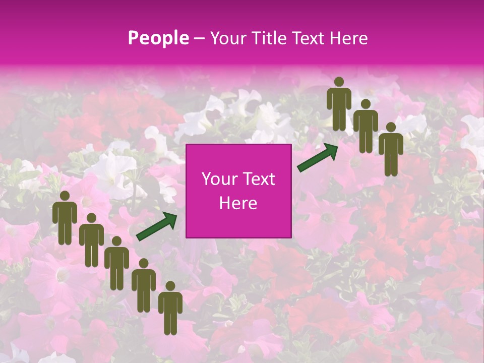 Purple Grow Spring PowerPoint Template