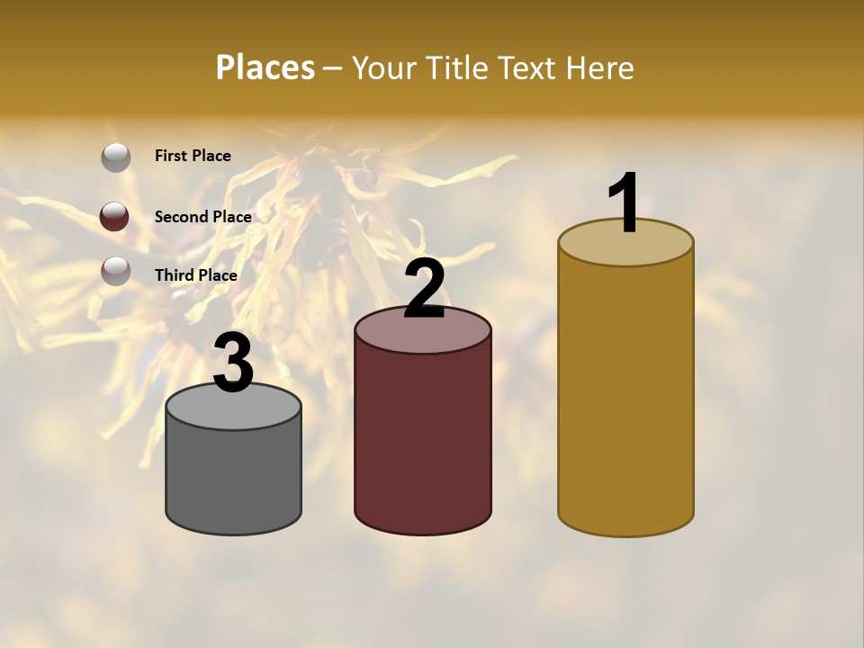 Season Asia China PowerPoint Template