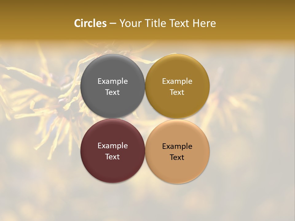 Season Asia China PowerPoint Template