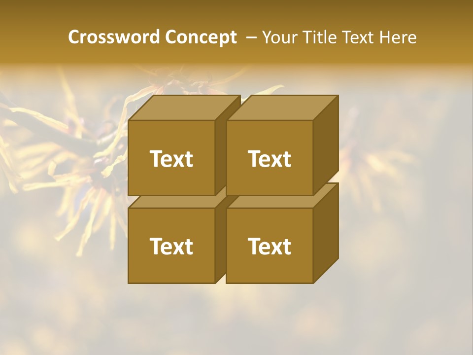 Season Asia China PowerPoint Template