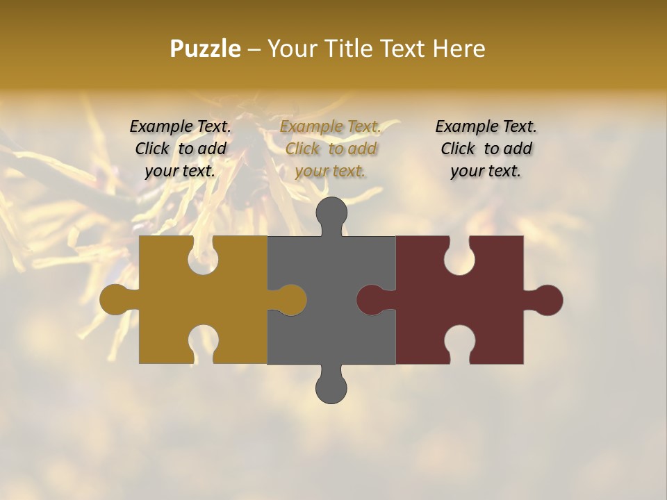 Season Asia China PowerPoint Template