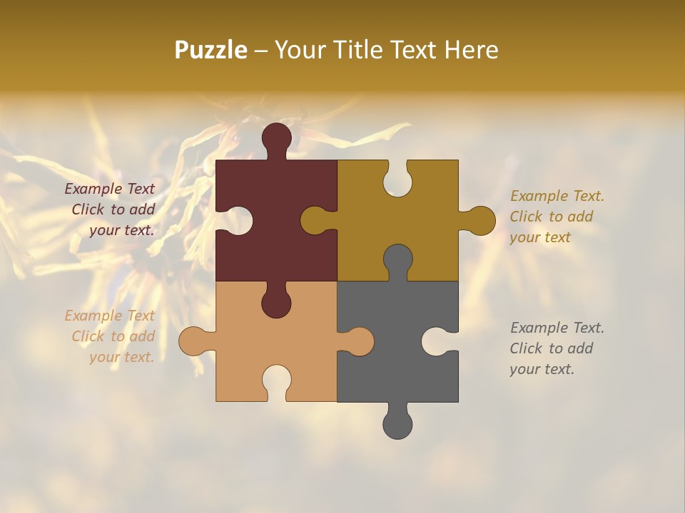 Season Asia China PowerPoint Template