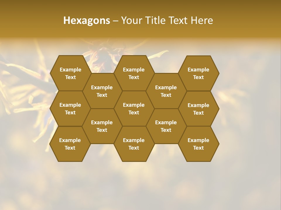 Season Asia China PowerPoint Template