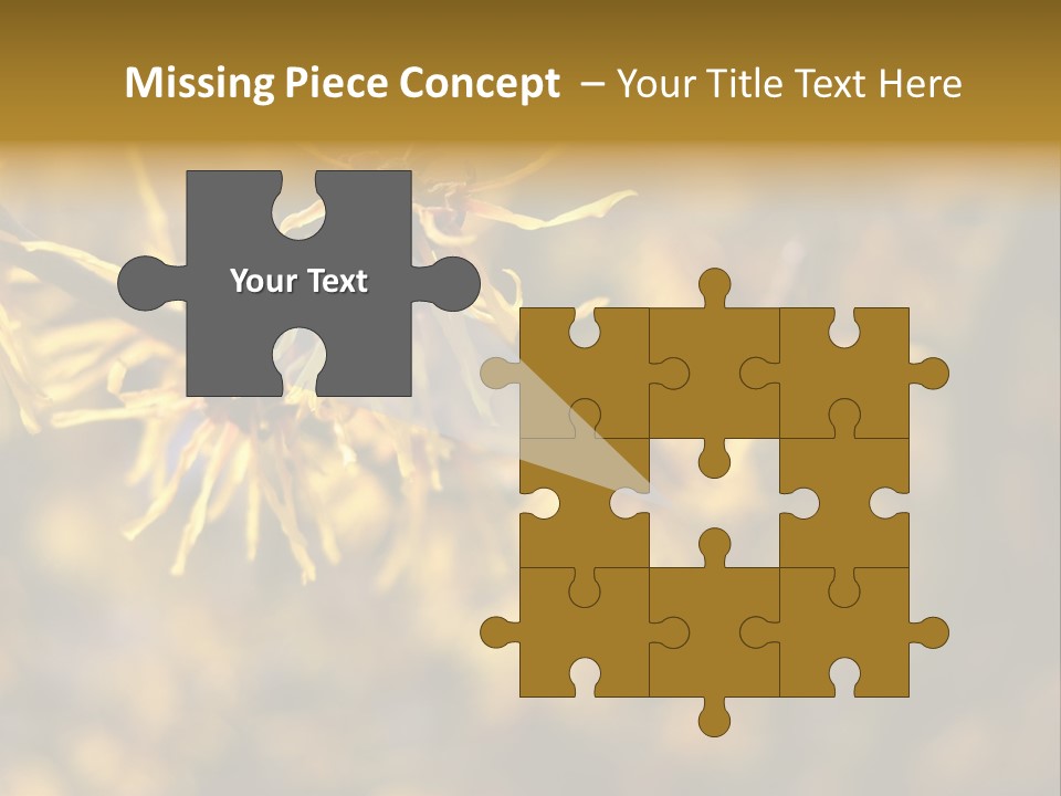 Season Asia China PowerPoint Template