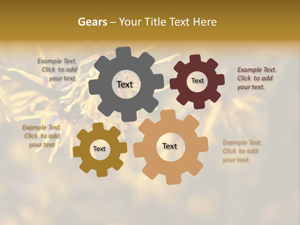 Season Asia China PowerPoint Template