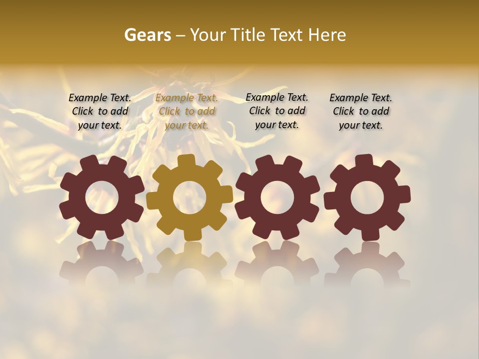 Season Asia China PowerPoint Template