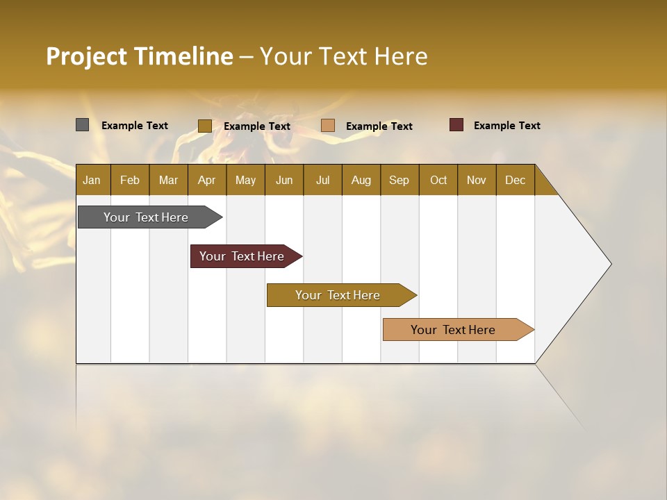 Season Asia China PowerPoint Template