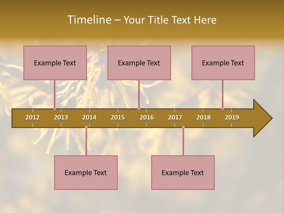 Season Asia China PowerPoint Template