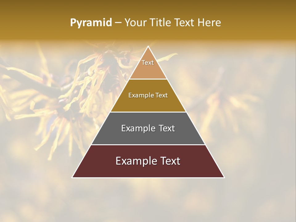 Season Asia China PowerPoint Template