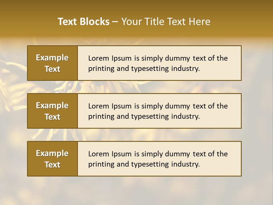 Season Asia China PowerPoint Template