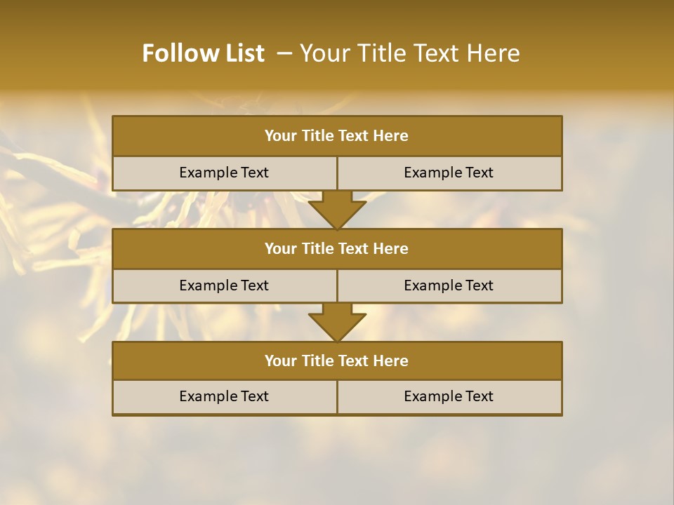Season Asia China PowerPoint Template