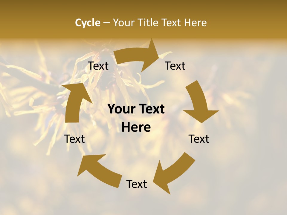 Season Asia China PowerPoint Template