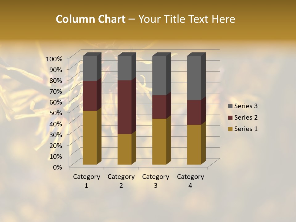 Season Asia China PowerPoint Template