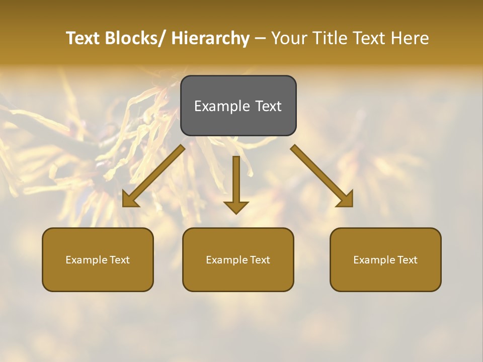 Season Asia China PowerPoint Template