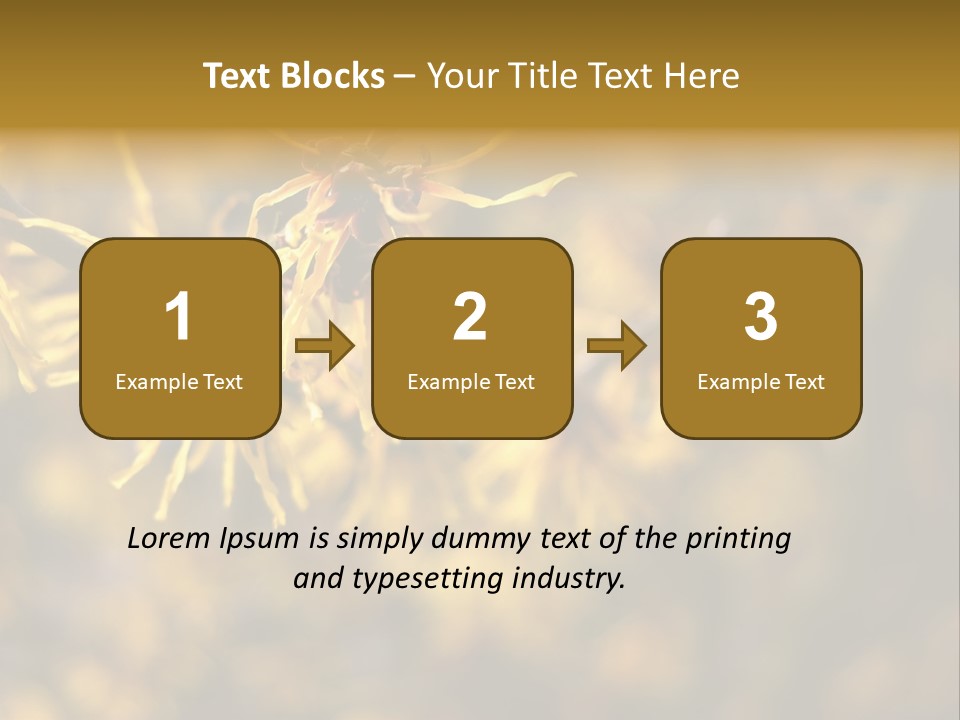 Season Asia China PowerPoint Template