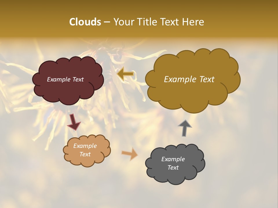 Season Asia China PowerPoint Template