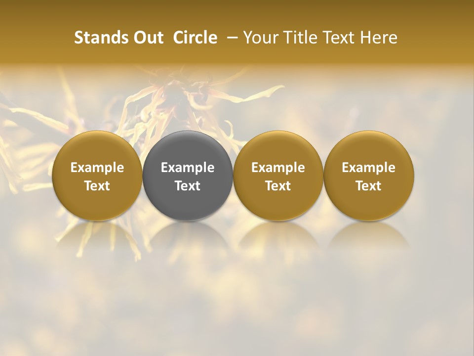 Season Asia China PowerPoint Template