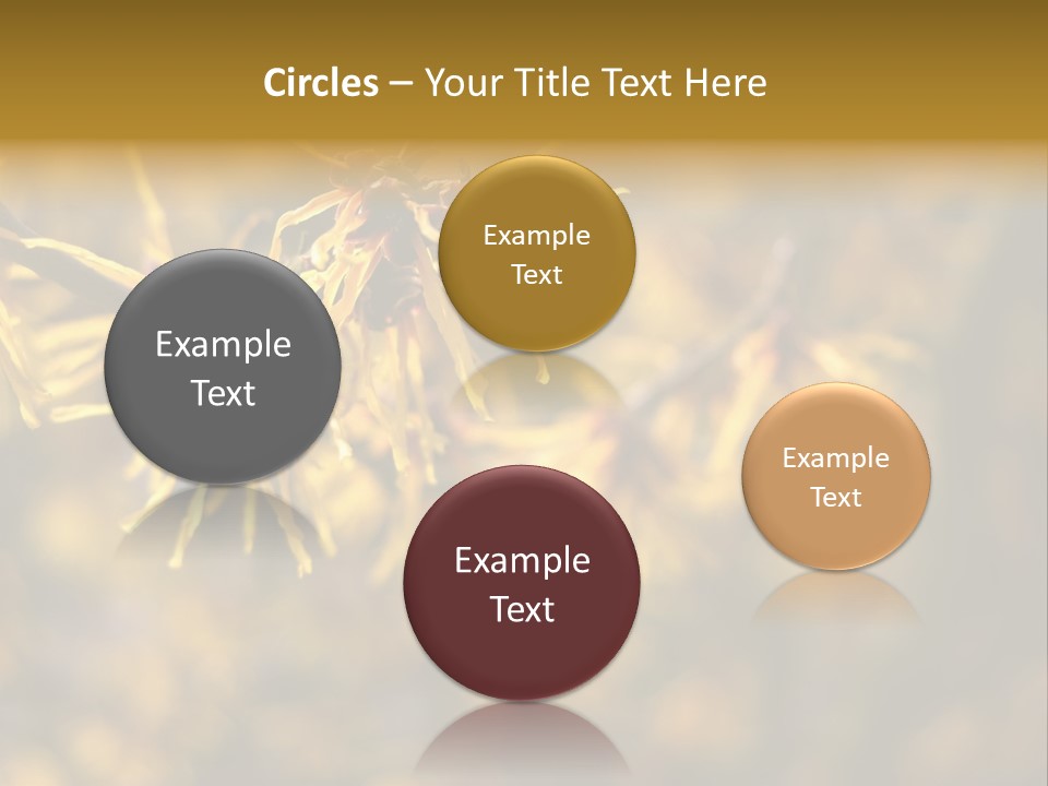 Season Asia China PowerPoint Template