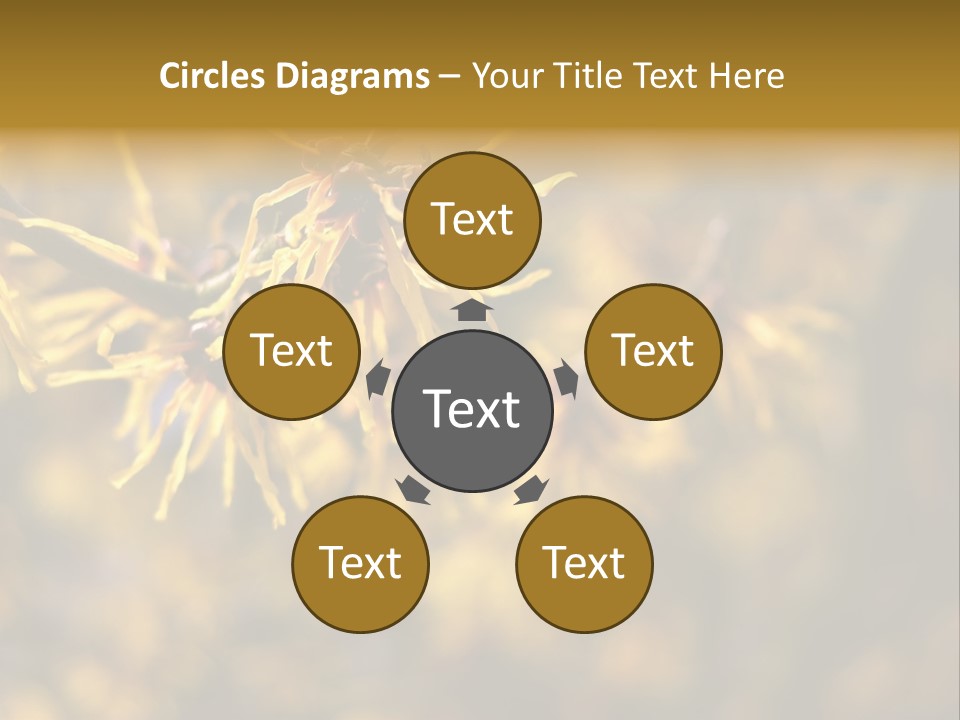 Season Asia China PowerPoint Template