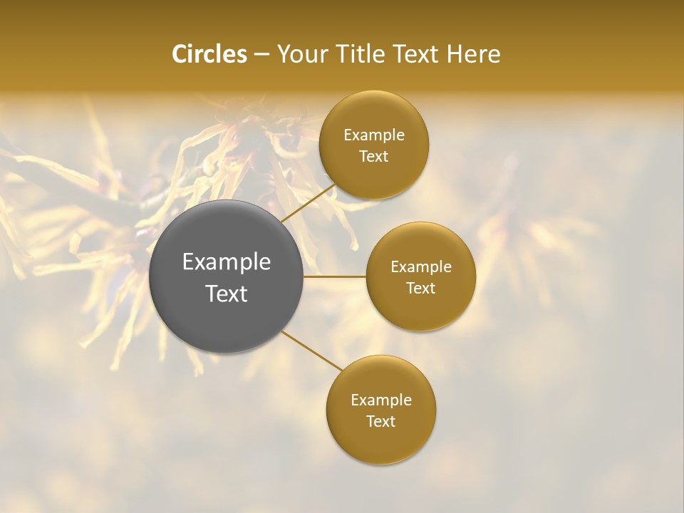 Season Asia China PowerPoint Template