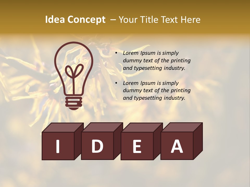 Season Asia China PowerPoint Template