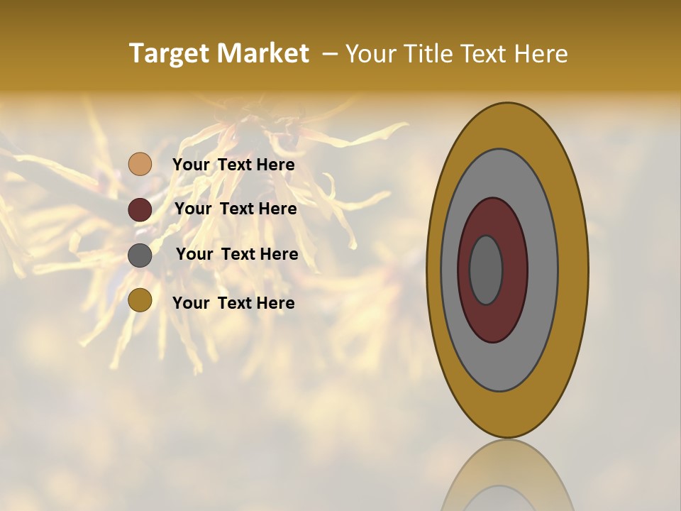 Season Asia China PowerPoint Template