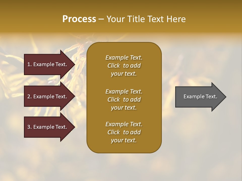 Season Asia China PowerPoint Template
