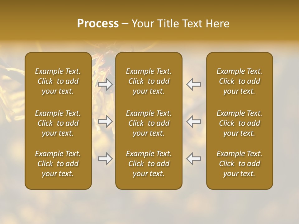 Season Asia China PowerPoint Template