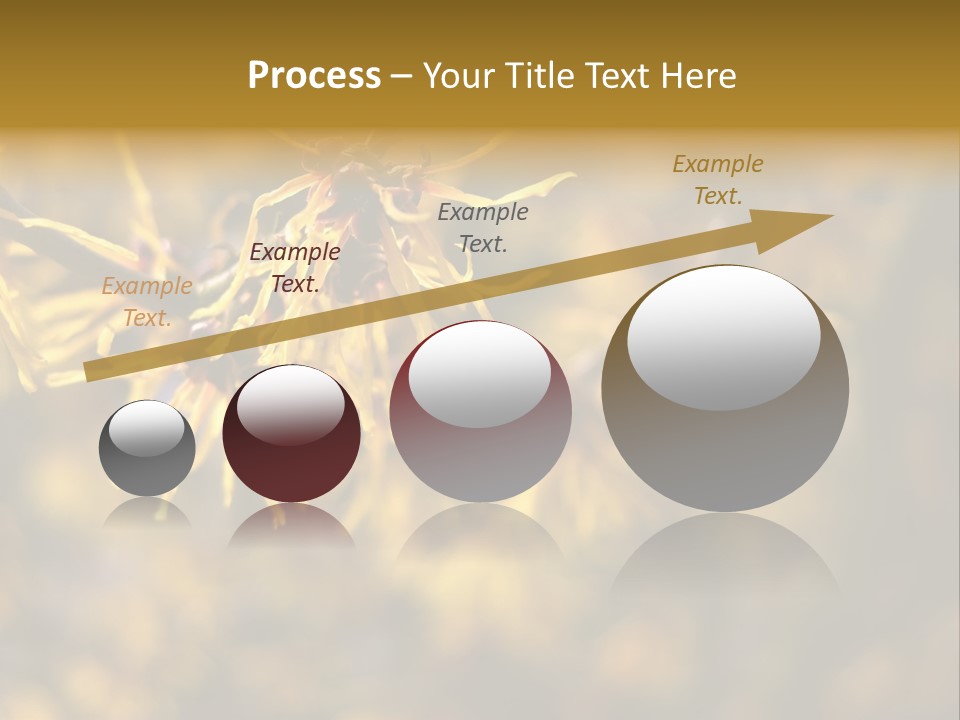 Season Asia China PowerPoint Template