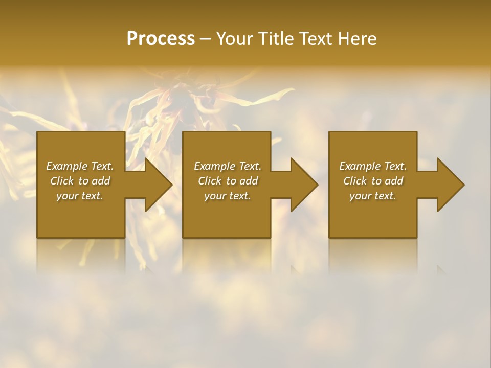 Season Asia China PowerPoint Template