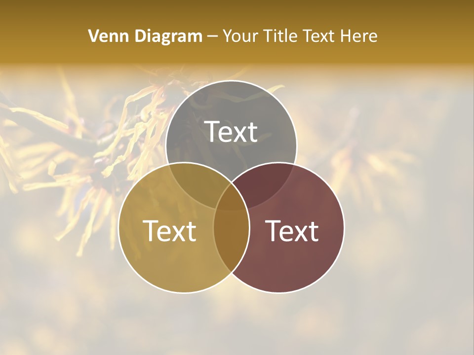 Season Asia China PowerPoint Template