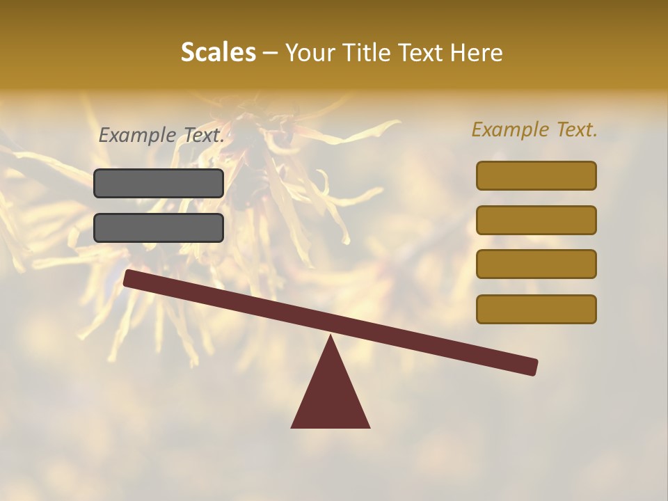 Season Asia China PowerPoint Template