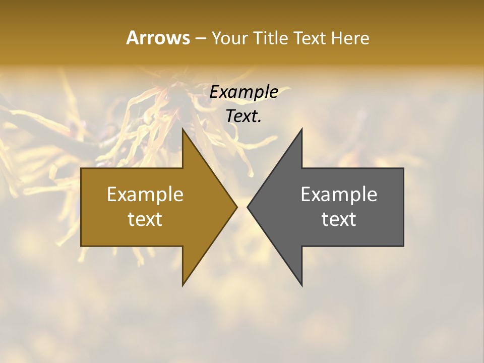 Season Asia China PowerPoint Template