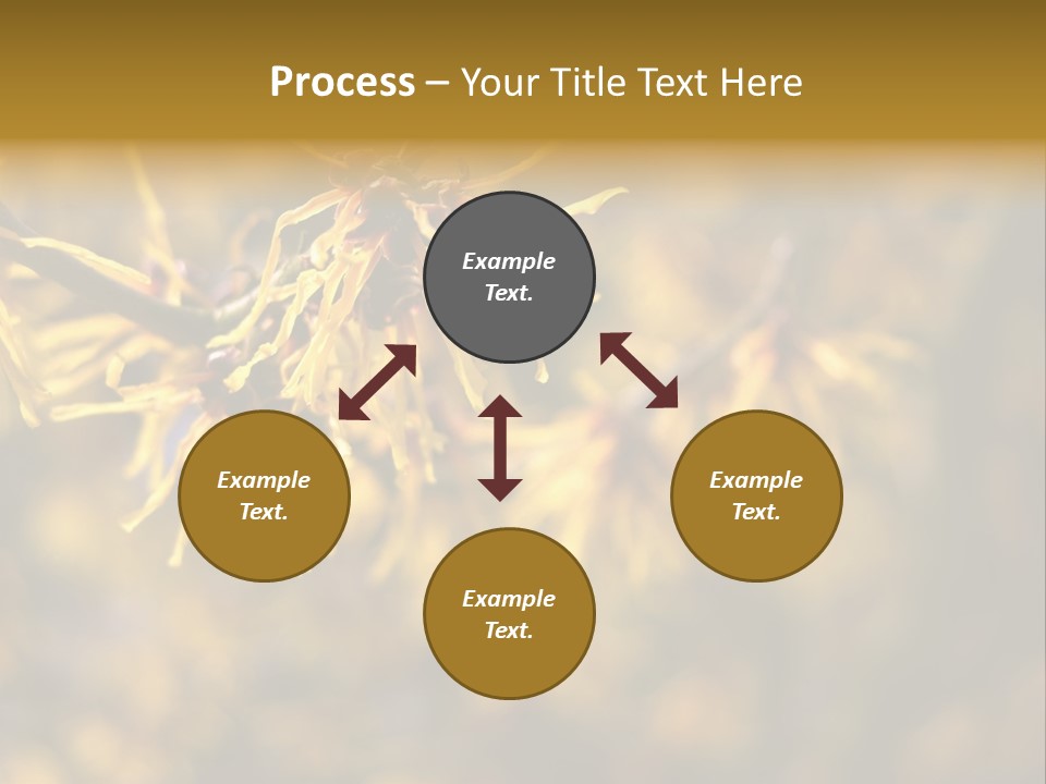 Season Asia China PowerPoint Template