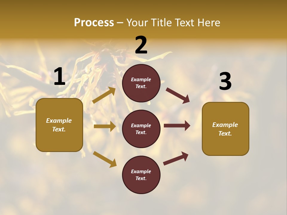 Season Asia China PowerPoint Template