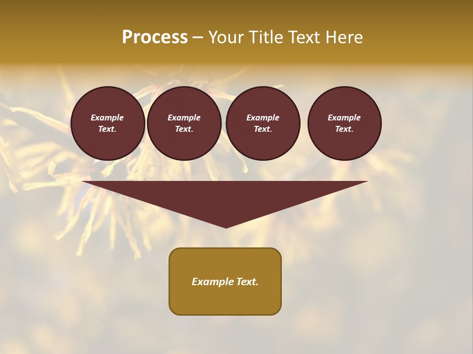 Season Asia China PowerPoint Template
