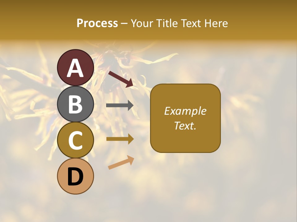 Season Asia China PowerPoint Template