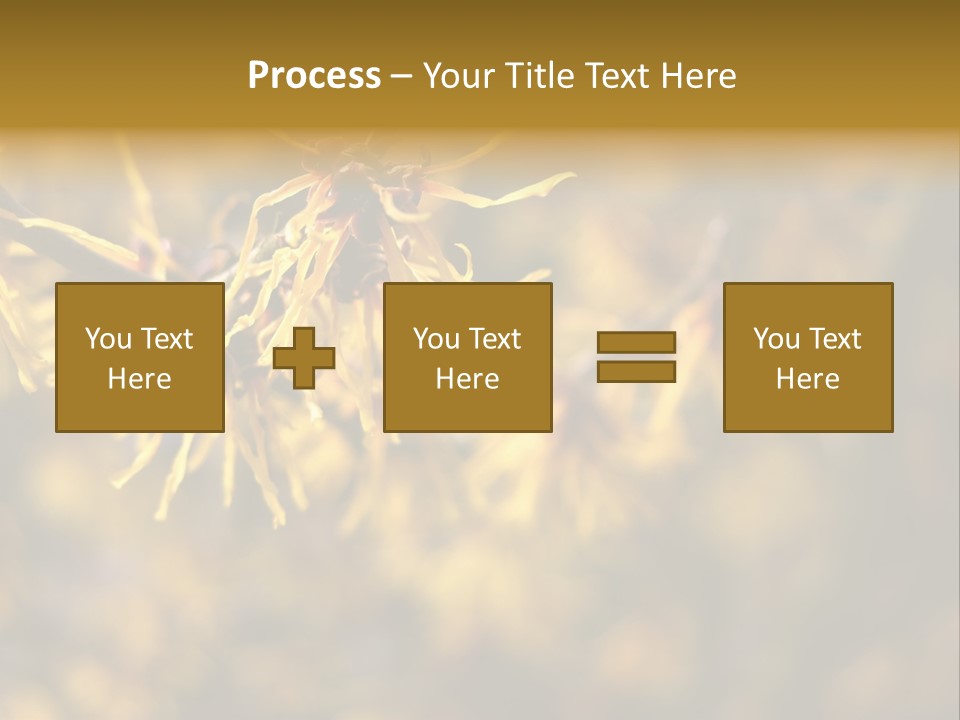 Season Asia China PowerPoint Template