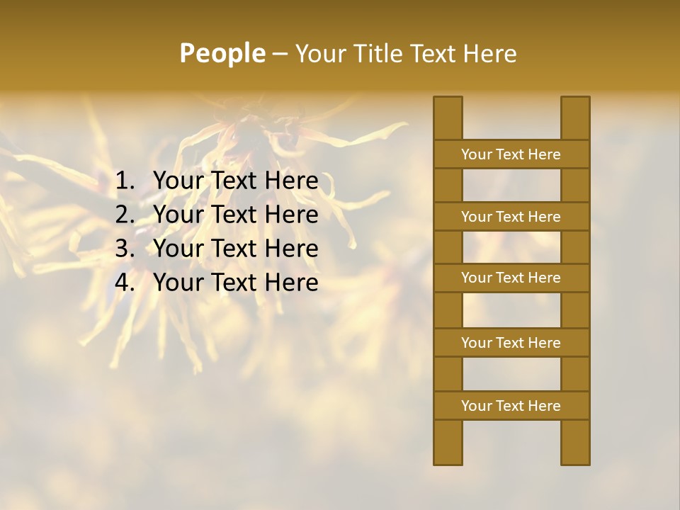 Season Asia China PowerPoint Template
