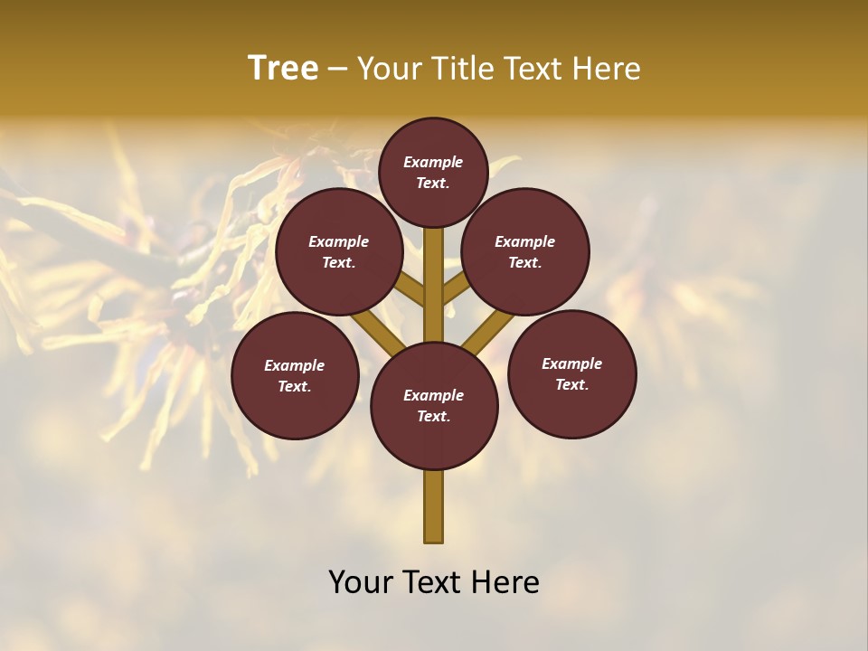 Season Asia China PowerPoint Template