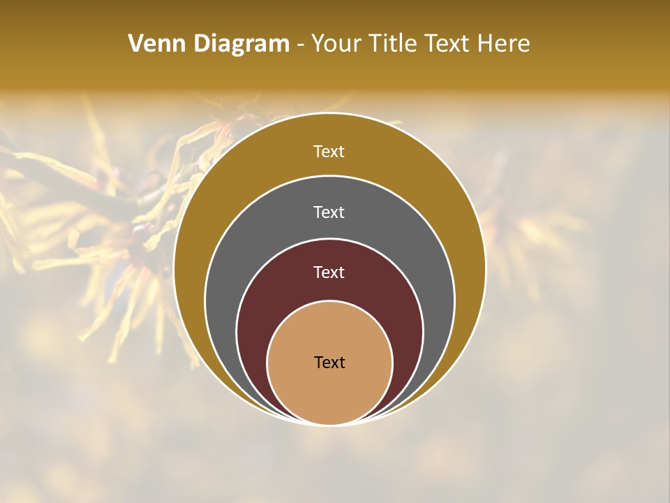 Season Asia China PowerPoint Template