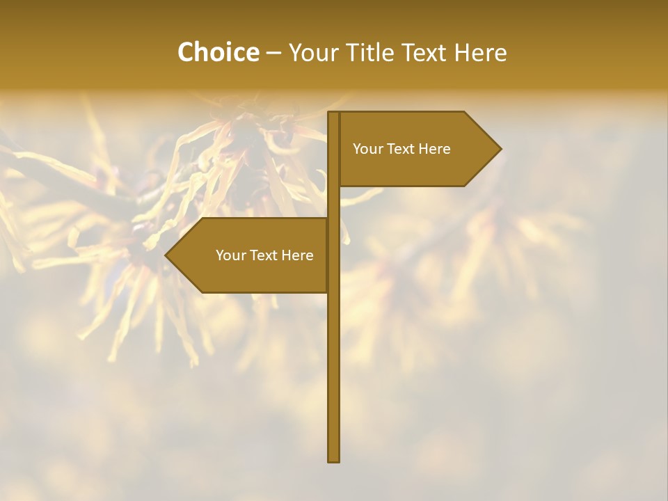 Season Asia China PowerPoint Template