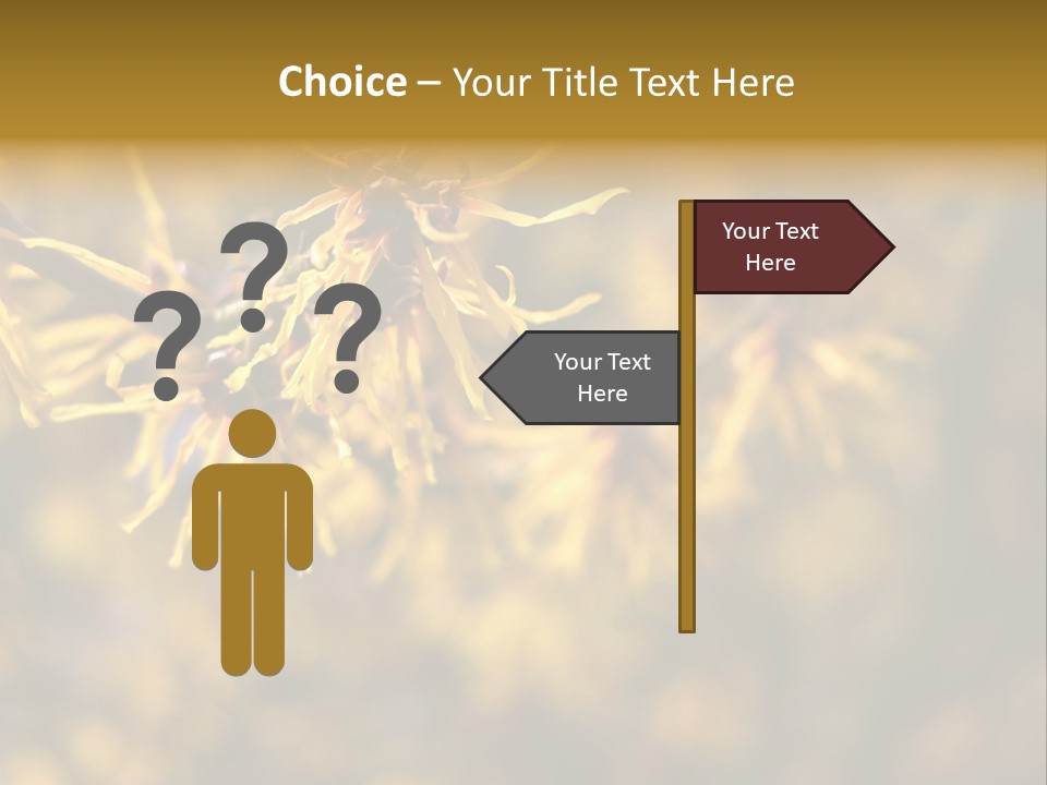 Season Asia China PowerPoint Template