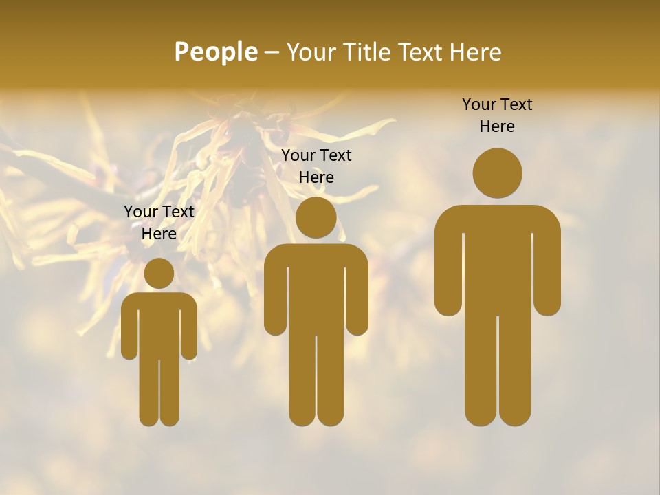 Season Asia China PowerPoint Template