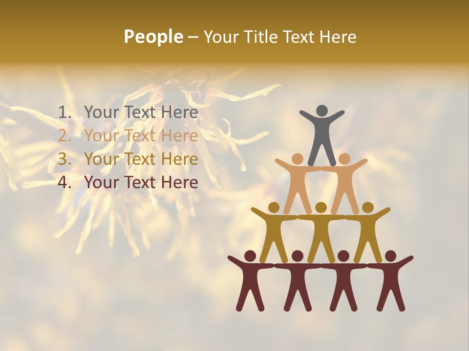 Season Asia China PowerPoint Template